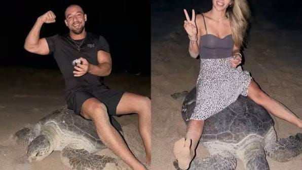 Influencer ucraniano enfrenta investigación tras maltrato a una tortuga en Omán
