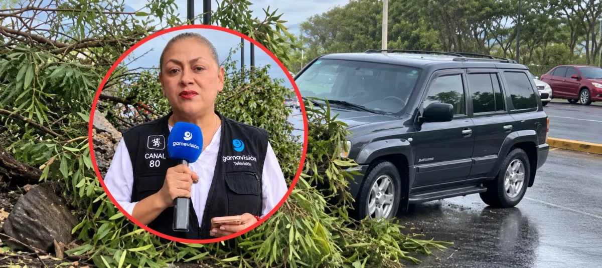 Periodista y camarógrafo fueron atropellados durante transmisión en vivo en Monterrey
