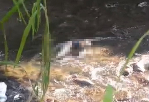 Localizan el cuerpo de un hombre en el río Cabriales de Valencia