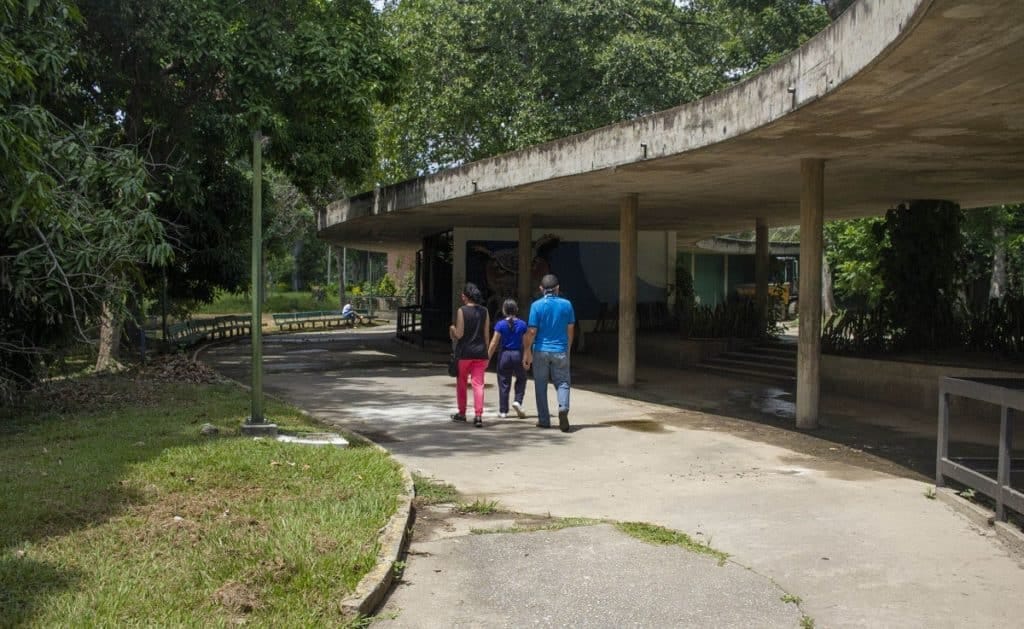 Denuncian aumento del abandono de mascotas en el antiguo Parque del Este