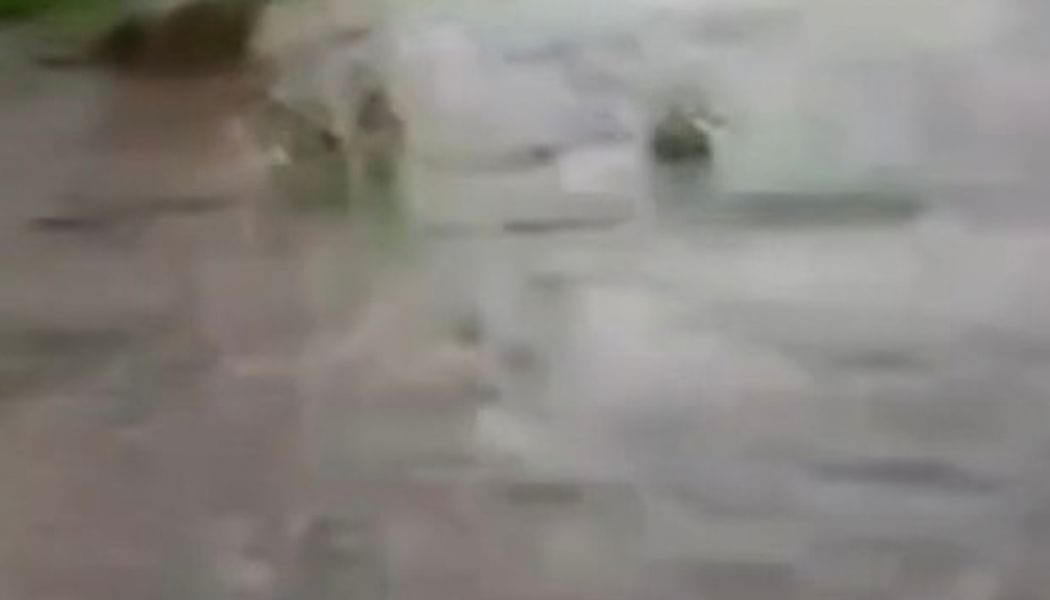 SUCRE | Crecida del río Manzanares mantiene en alerta a habitantes de Las Trincheras