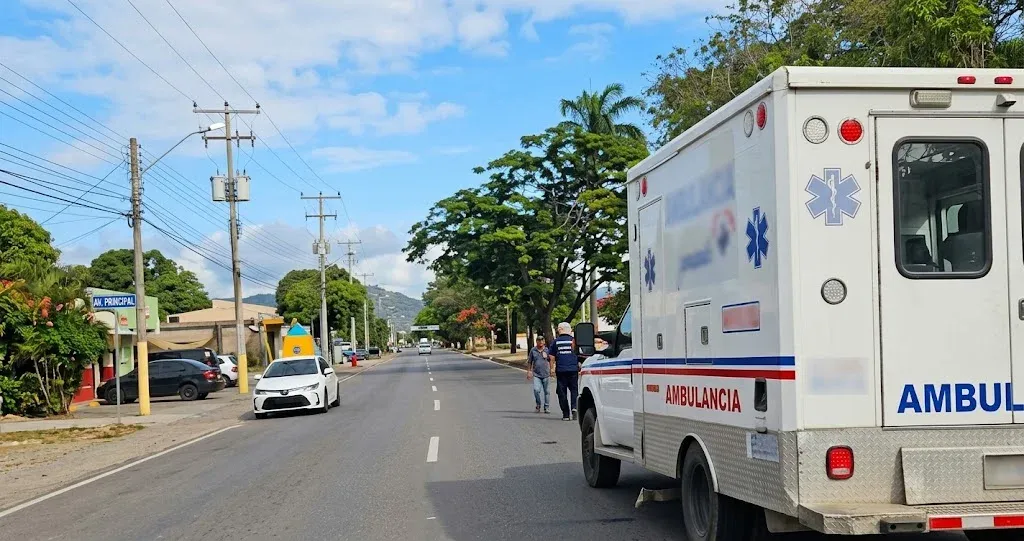 Conductores y transeúntes resultaron heridos tras ser atacados por un enjambre de abejas en Margarita
