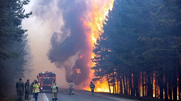 Incendios forestales en Rusia afectan a más de 4 millones de hectáreas