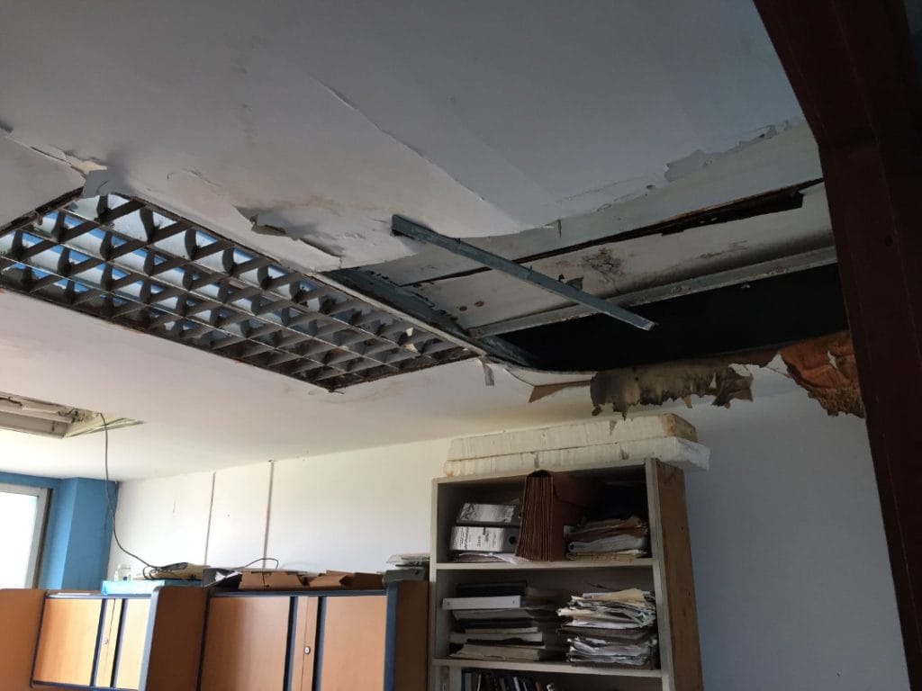 FOTOS | Entre murciélagos, gatos y basura se encuentra la Gobernación de Nueva Esparta