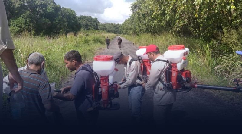 Monagas |MinSalud y Gobierno Regional realizan control larval de la palometa peluda