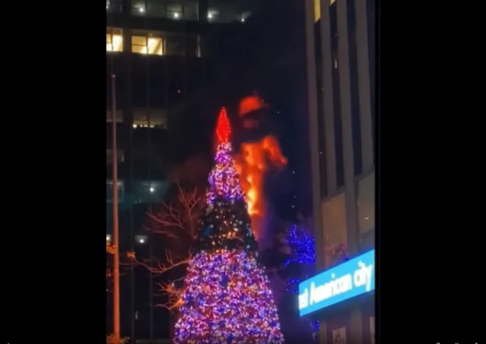 En Manhattan un hombre prendió fue a árbol de navidad