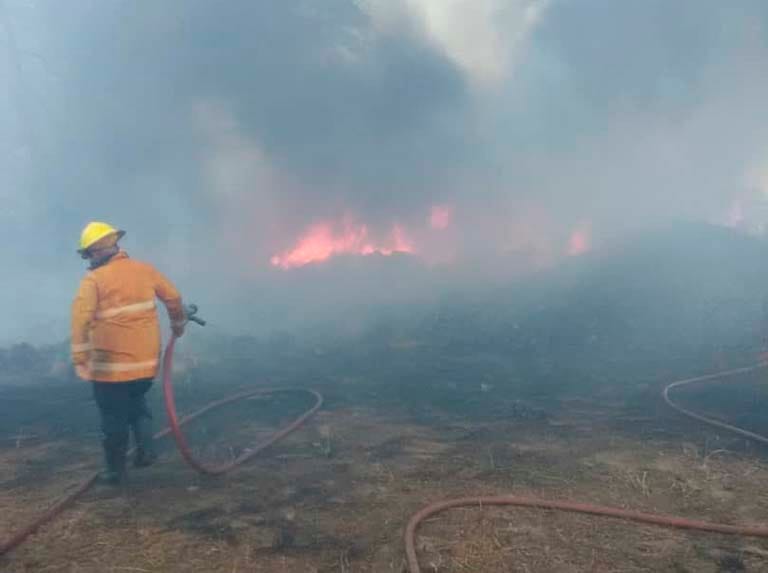 Anzoátegui | Tres incendios forestales se reportaron en El Tigre este domingo