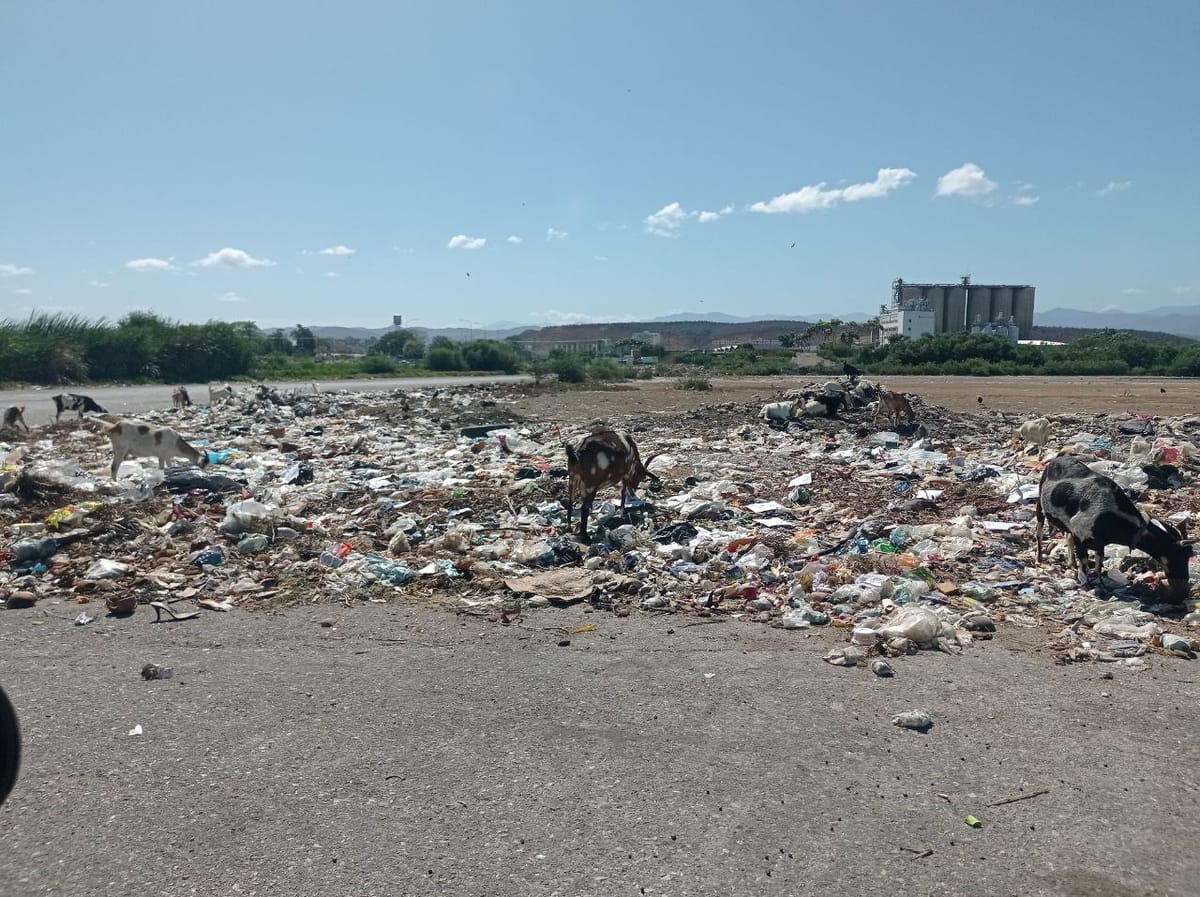 Sucre | Vecinos de San Luis denunciaron fallas en el servicio de recolección de basura