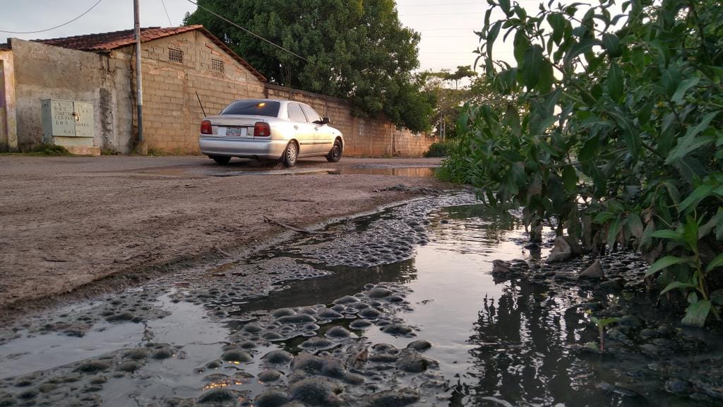  Desborde de aguas negras tiene más de 15 años en Las Garzas en Maturín