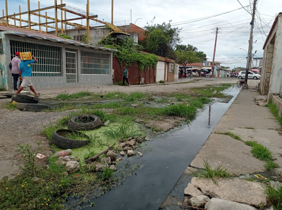 Vecinos de Buena Vista viven entre aguas residuales desde hace más de 40 años