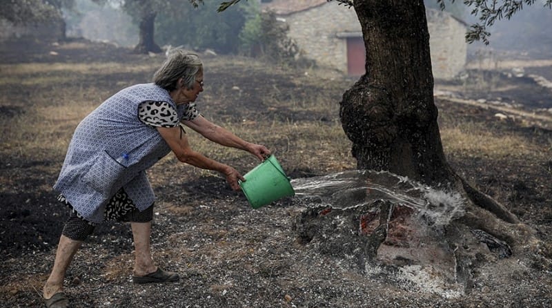 Aumenta la cifra de fallecidos por ola de calor en Europa