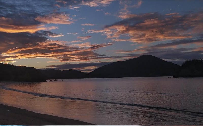 Denunciaron que coral invasivo en Mochima disminuye pesca en la entidad