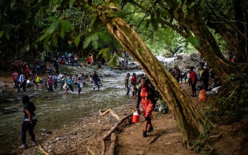 Denunciaron que más de 70 venezolanos han desaparecido en la selva del Darién