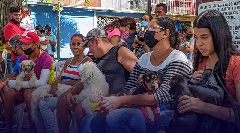 Mascotas del sector El Poblado recibieron atención veterinaria