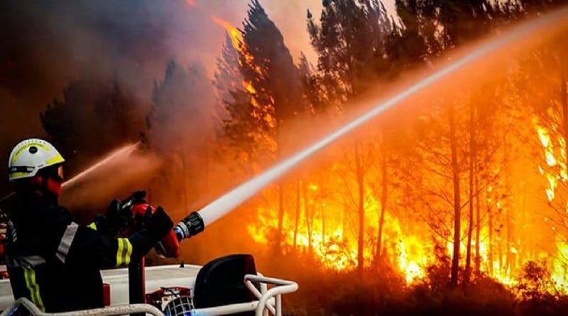 Oleadas de incendios devastaron más de 6.000 hectáreas en Francia
