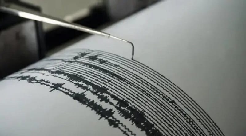 Sismo de magnitud 5,3 sacudió el noreste de Japón