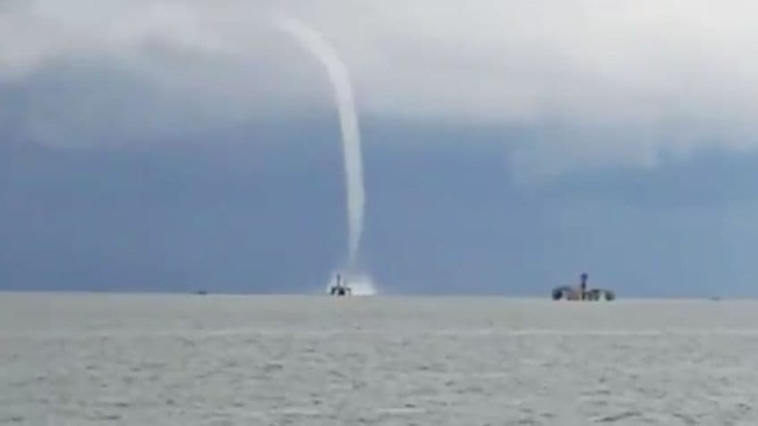 Reportaron trompa marina en el lago de Maracaibo 