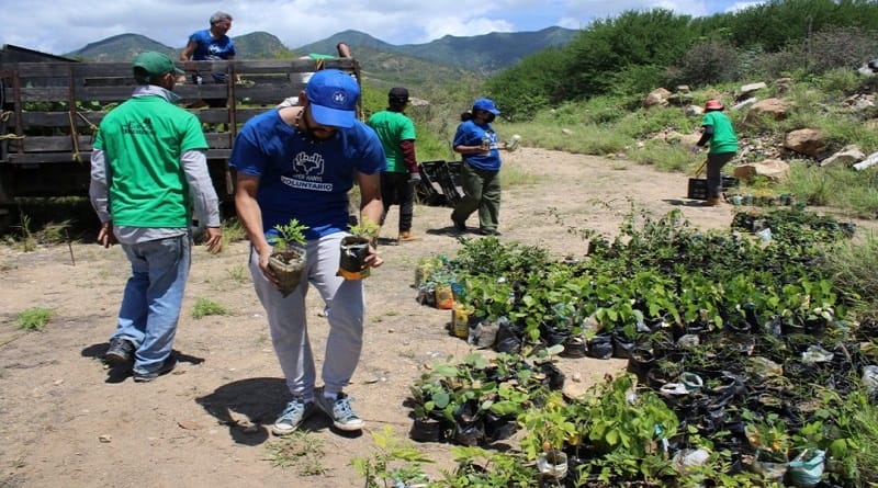 Árboles fueron plantados en Macanao de la mano del voluntariado Open Hands