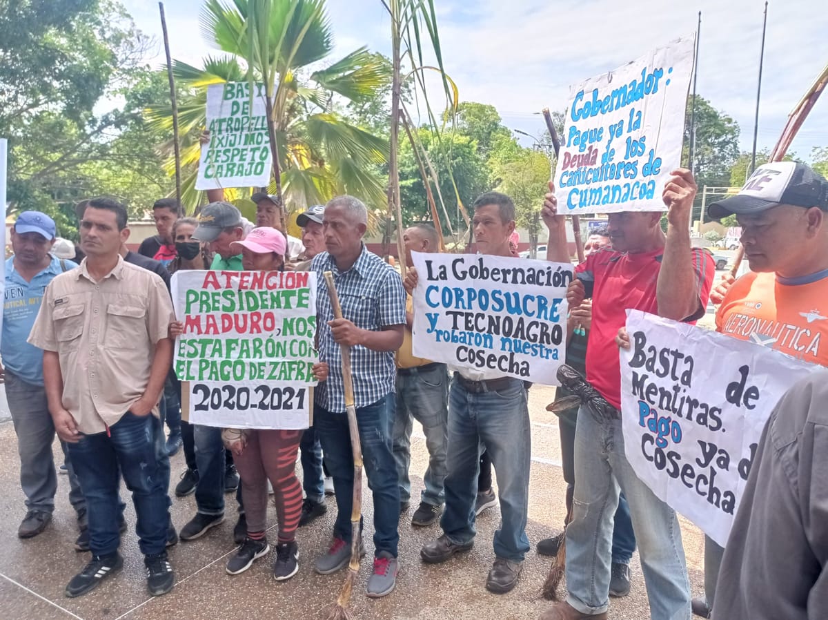 Cañicultores de Cumanacoa siguen esperando respuesta sobre el pago de la zafra 2021