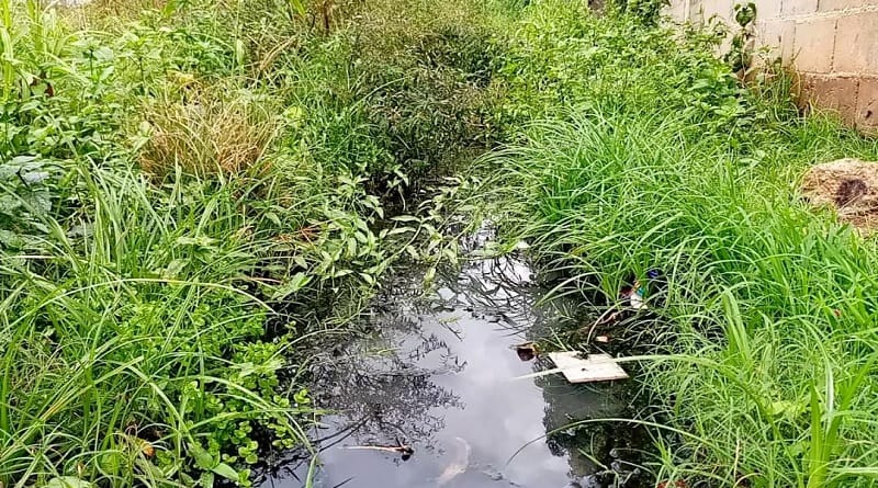 Desborde de aguas negras en sector 12 de octubre en Maturín pone en riesgo a 250 familias