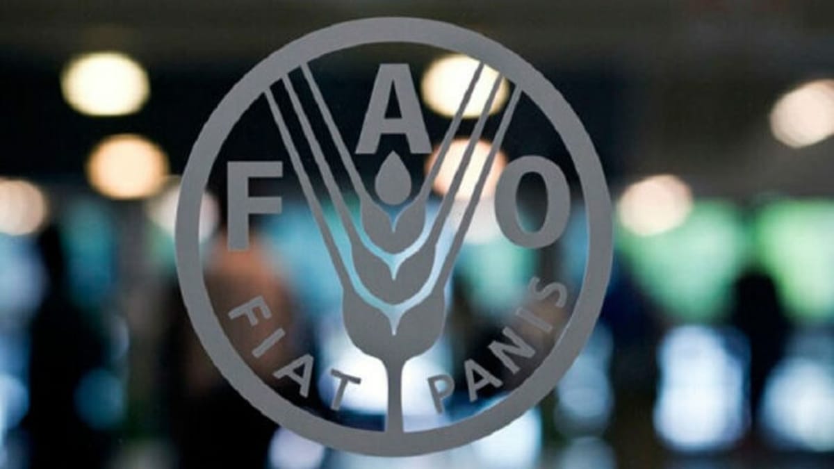 FAO puso en marcha protocolos por gripe aviar
