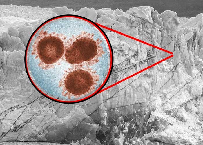 Científicos revivieron un virus zombi inactivo por más de 48.500 años