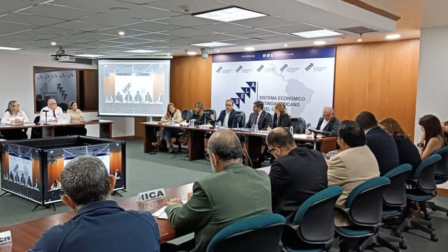 La ONU dará asistencia técnica a Venezuela sobre hongo destructivo que ataca plantas de plátano