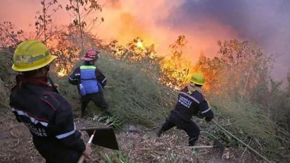 Cuerpos de seguridad y prevención lograron cesar incendio forestal en Caripe