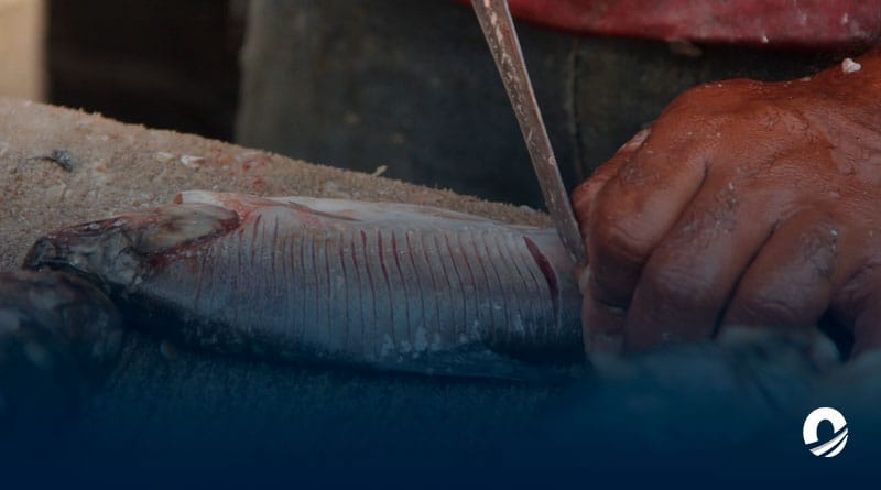 Registran bajas ventas de pescado en Barcelona por los precios