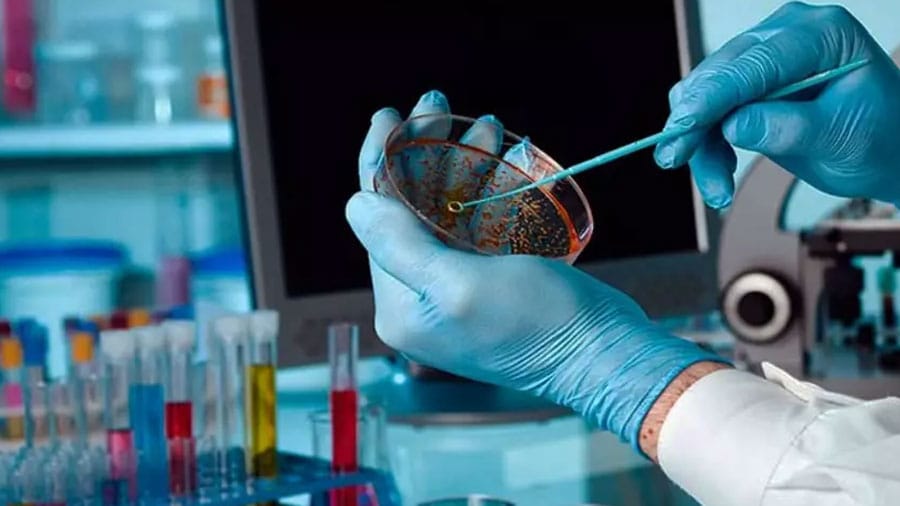 Desarrollan una nueva molécula para el tratamiento dirigido contra el cáncer