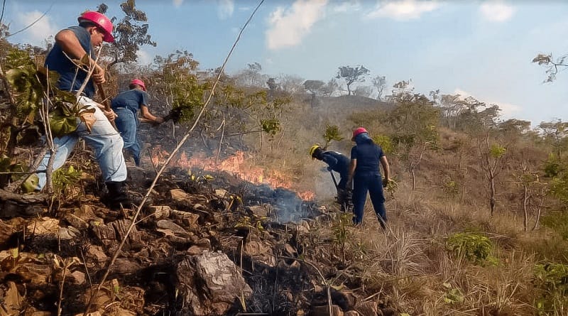 Incendio entre Sucre y Anzoátegui consumió 4,5 hectáreas
