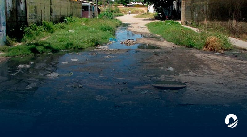Habitantes de “Ciudad Cartón” enfrentan múltiples problemáticas