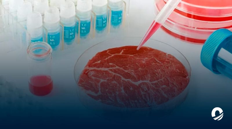 EE UU aprobó la venta de carne y pollo cultivada en laboratorios