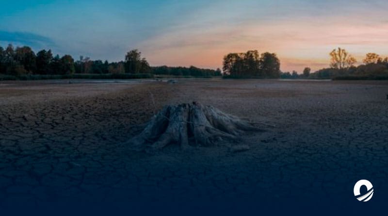 Declaran presencia del fenómeno de El Niño a escala global