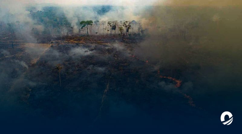 Desforestación en Amazonía brasileña disminuyó un 33,6% en el primer semestre del 2023