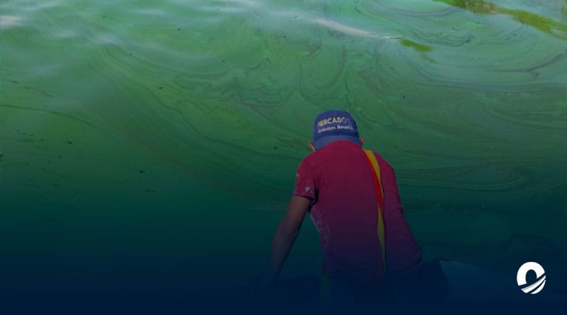 Pescadores se sumaron a trabajos de limpieza en el Lago de Maracaibo
