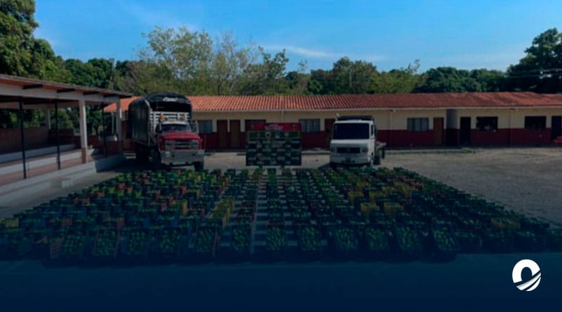 Autoridades incautaron 12,6 kilos de aguacate que iban a ser trasladados hacia Colombia