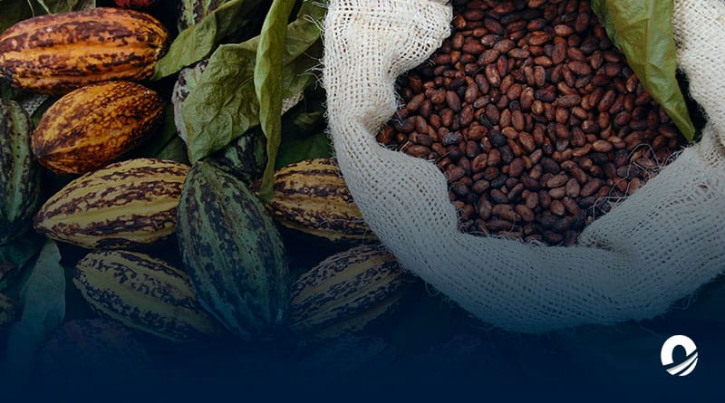 Gremio cacaotero propone declarar a productores “prestadores de servicios ambientales"