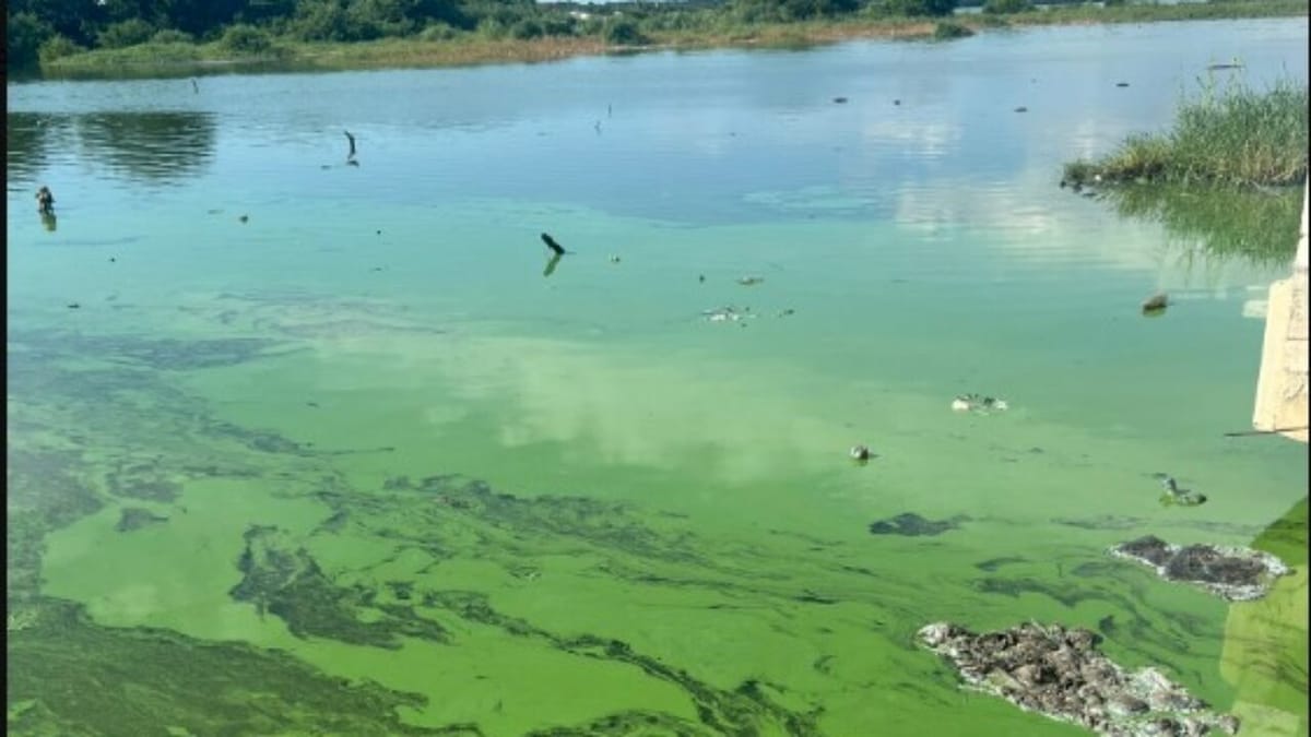 Venezuela prepara un plan educativo para la conservación del Lago de Maracaibo