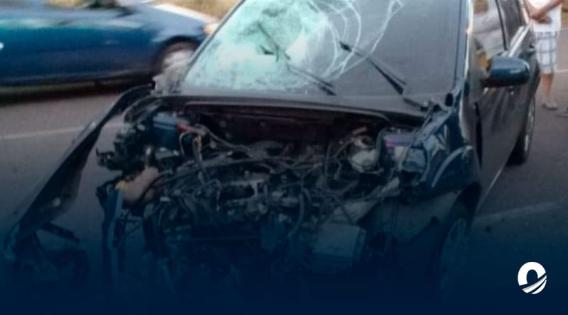 Protección Civil Táchira reportó 858 accidentes viales en lo que va de año