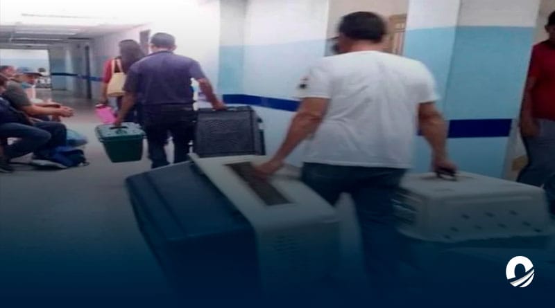 Rescatan a gatos callejeros del hospital Dr. Luis Ortega de Porlamar