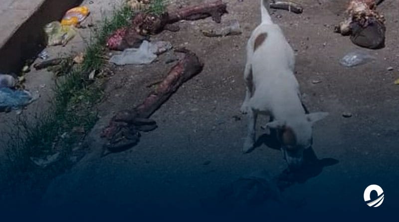 Denuncian condiciones insalubres en el Mercado de Cariaco