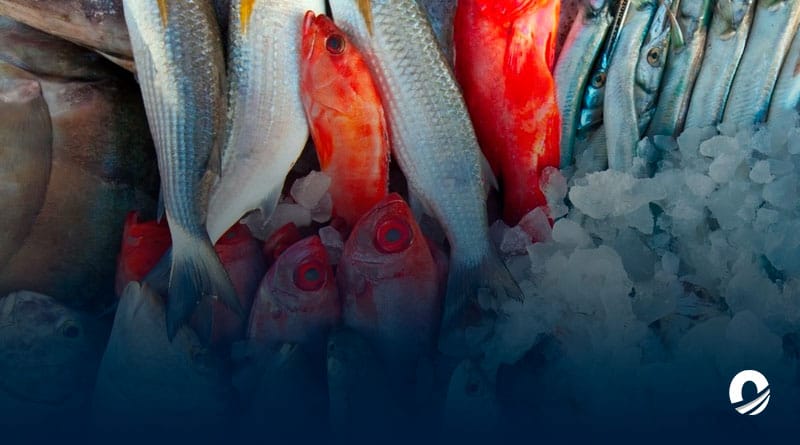 Rusia suspendió importaciones de productos marinos de Japón