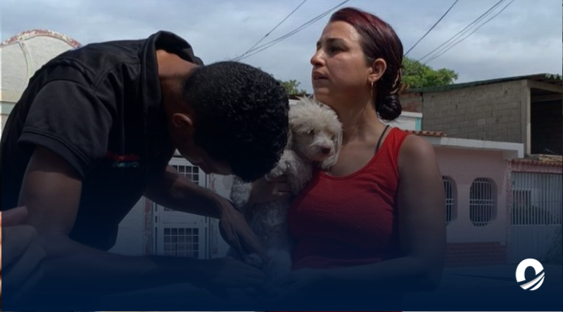 Misión Nevado realizará jornada de atención veterinaria por el 54 aniversario del MP