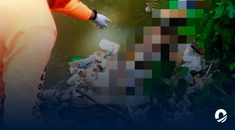 Hallaron el cuerpo de una adolescente comido por las aves