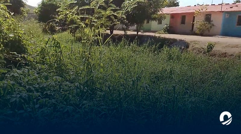 Habitantes de La Llanada denunciaron falta de mantenimiento en canal de la zona