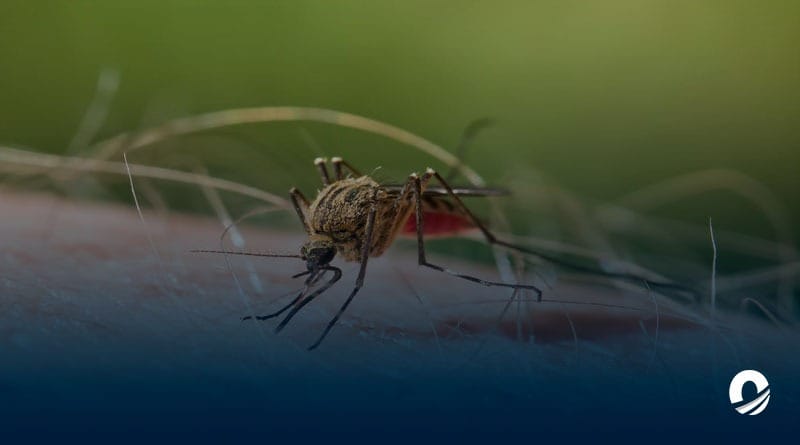 SOS Orinoco advirtió incremento de casos de malaria en el Alto Orinoco