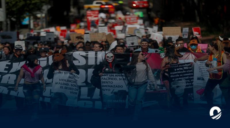 Protestas en Ciudad de México por regreso de las corridas de toros