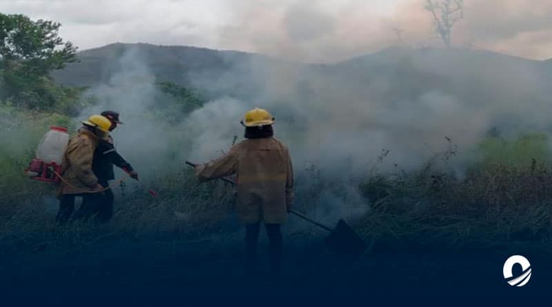 SUCRE | 12 incendios forestales se han registrado en el estado Sucre durante enero