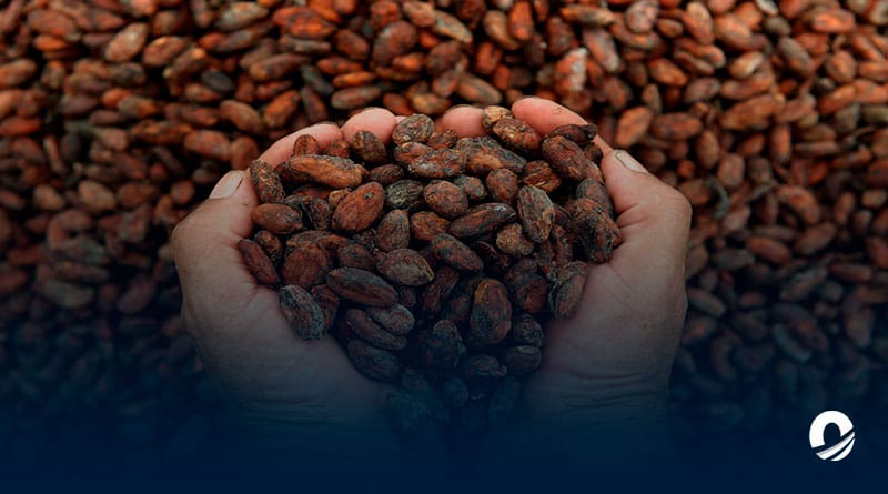 SUCRE | Experto advirtió sobre impacto del cambio climático en sector agricultor de Paria